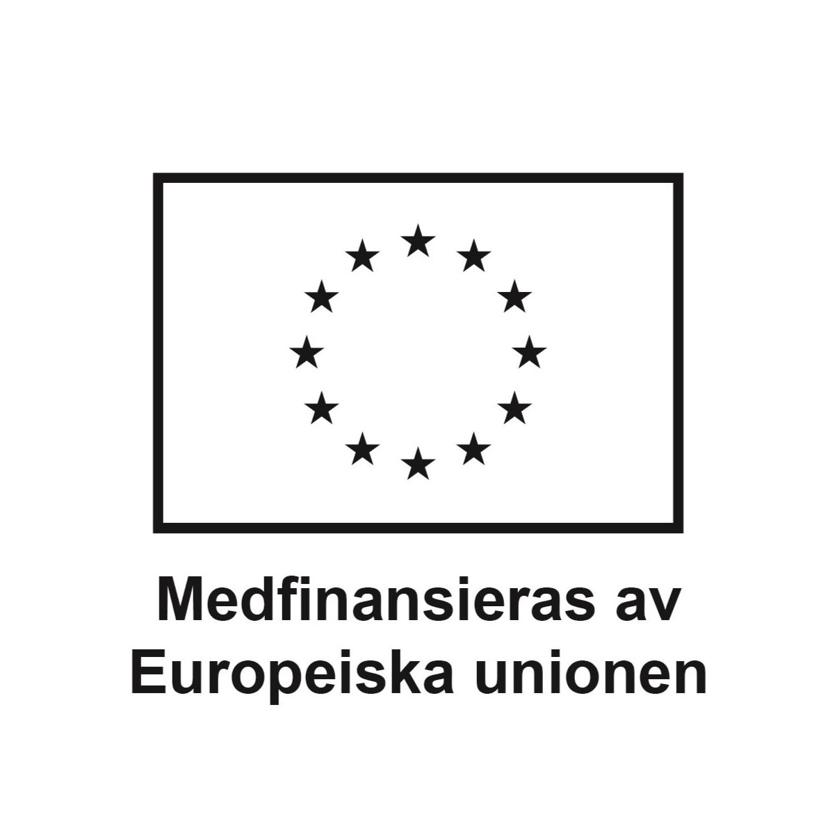 SV-V-Medfinansieras-av-Europeiska-unionen_BLACK-OUTLINE-1