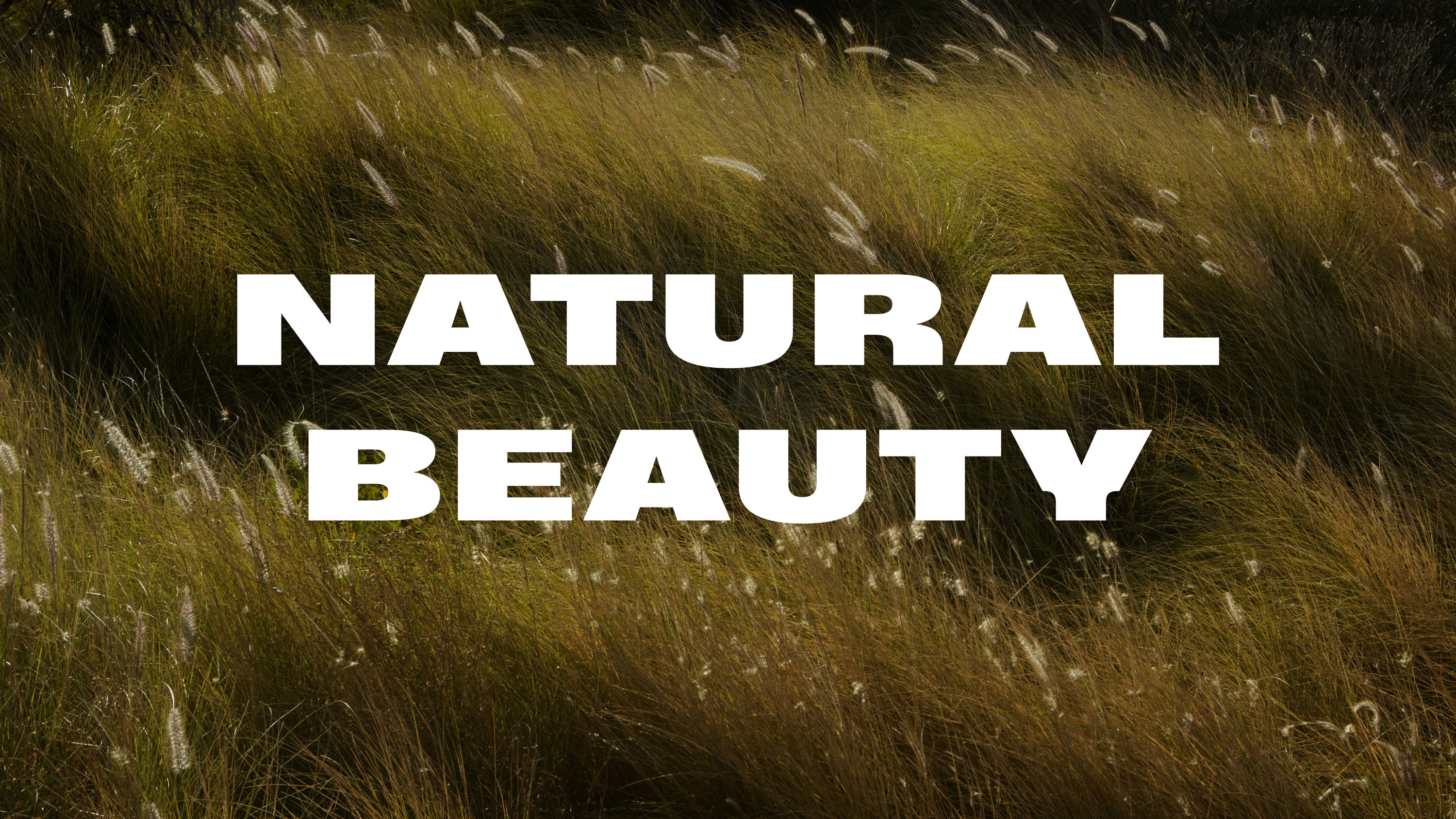 sommar äng med texten natural beauty